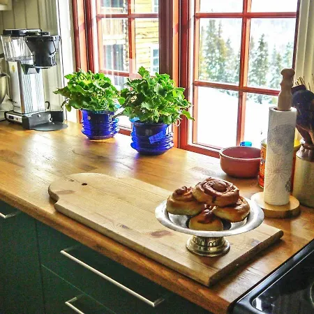 Holiday Tisleidalen * Fagernes
